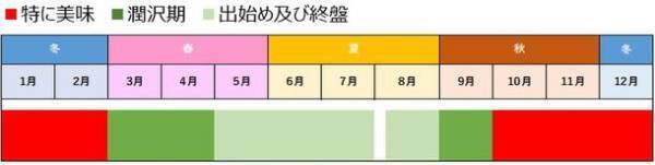 松本まりかさんが「千葉のさつまいもアンバサダー」に就任！千葉県ならではのさつまいもの美味しさを伝えていきます