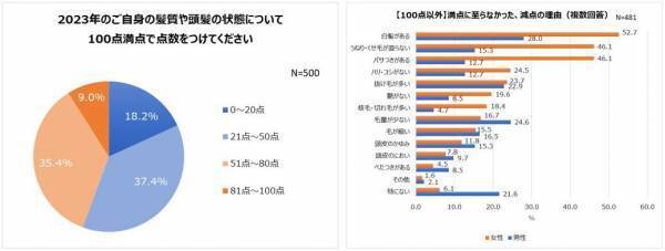 2023年の髪の毛事情の振り返り、2024年のヘアケア目標を調査！2023年、頭髪の自己採点は平均51点と不満気味。30～50代 髪の悩みランキング1位「白髪」2位「うねり・くせ毛」3位「パサつき」