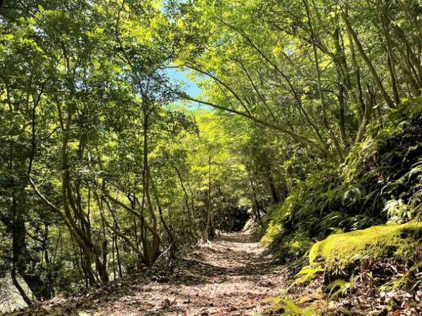 まなヴィソン第6弾　aniTERRACE×kiond　三重県・日本最大級の商業リゾート「VISON」内愛犬健康チェックと森散歩イベント1月27日(土)開催　～ どうぶつの命を学ぶ体験プログラム ～