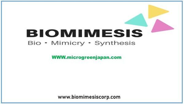 垂直農法によるマイクログリーン栽培の地域ブロック提携パートナーを募集！提携費用の特別キャンペーンを2/1に開始