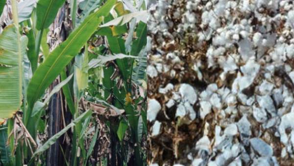 王子ファイバーの世界に誇るかみの糸OJO＋×WACRAコラボ企画　世代を超えて着る進化の一着「和紙綿セットアップ」の先行予約販売をMakuakeにて開始