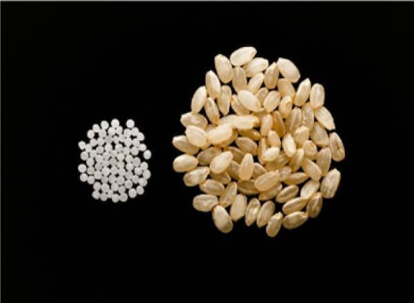 日本酒の魅力を堪能できる訪日外国人観光客向けイベント「Let’s try SAKE flight!!」を開催