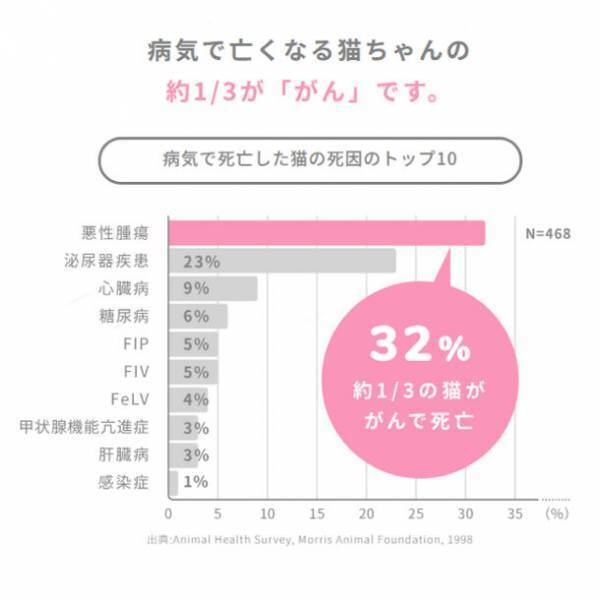 2cmの違和感に注意。猫の乳癌はおうちで見つける病気です　猫壱、乳癌で苦しむ猫をゼロにする「キャットリボン運動」に賛同　プロジェクト初のコラボ食器を2月2日から限定販売、売上の一部を寄付へ