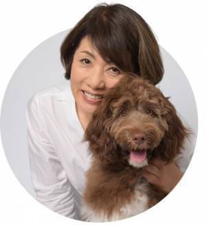 愛犬も飼い主も一緒に楽しめる「コミフ」からPABLOコラボ商品「コミフ いちごとチーズのテリーヌ」が2024年1月24日(水)より数量限定で登場！