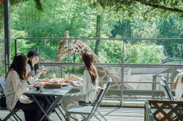 ［予約先着特典あり］動物園×グランピングのTHE BAMBOO FORESTが18歳～25歳にお得な「U25・学割プラン」予約受付中