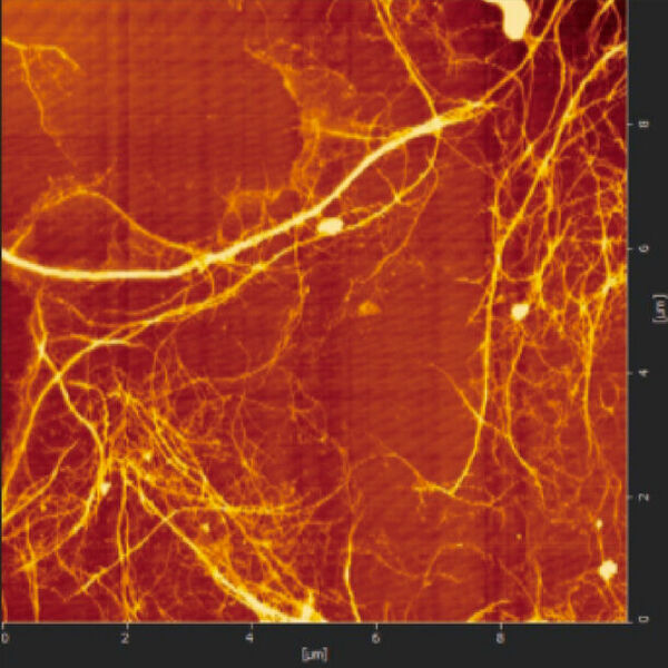 業界初！「セルロースナノファイバー(CNF)」を活用した芯なしトイレットペーパーの芯孔強度改善に関する特許を取得