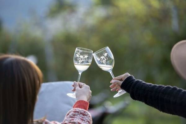 山梨県北杜市が地元産ワインの魅力をPRするサイトをオープン　ソムリエとぶどう畑を巡るメディア向けツアーも実施