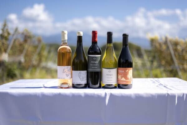 山梨県北杜市が地元産ワインの魅力をPRするサイトをオープン　ソムリエとぶどう畑を巡るメディア向けツアーも実施