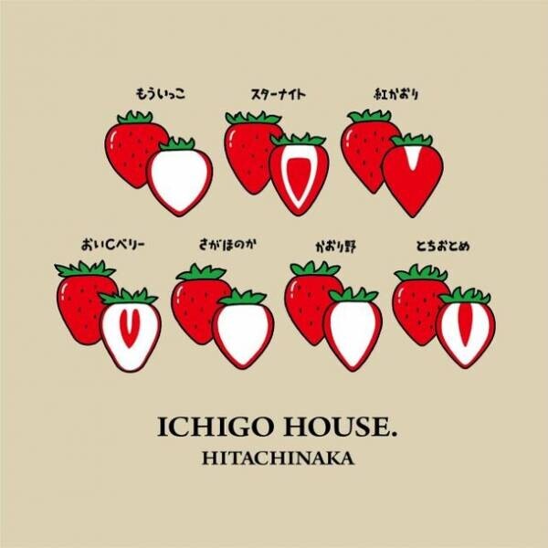 ひたちなかに、大型観光いちご農園「ICHIGO HOUSE. HITACHINAKA」が開園「こぼれ山盛りいちご」他、ミスいちごとコラボした特別記念キャンペーンも！