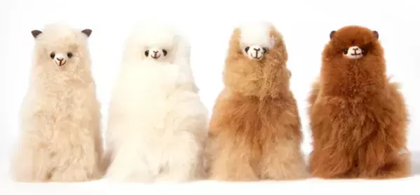 日本初上陸！幸せを運ぶ“アルパカ”の天然毛ぬいぐるみ「INJOI」をバレンタインギフトに！2月10日(土)より有楽町マルイにて期間限定販売