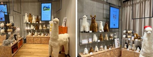 日本初上陸！幸せを運ぶ“アルパカ”の天然毛ぬいぐるみ「INJOI」をバレンタインギフトに！2月10日(土)より有楽町マルイにて期間限定販売