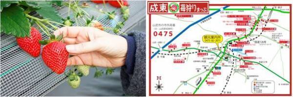 空も、海も、川も美しい！早春の九十九里エリアを駆け抜けるサイクルトリップ