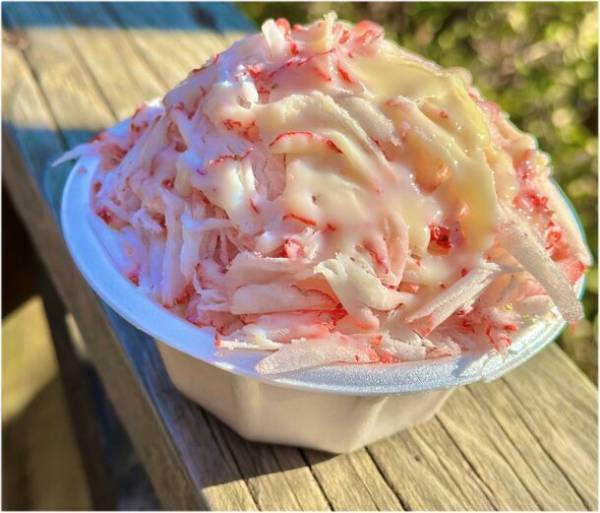 空も、海も、川も美しい！早春の九十九里エリアを駆け抜けるサイクルトリップ