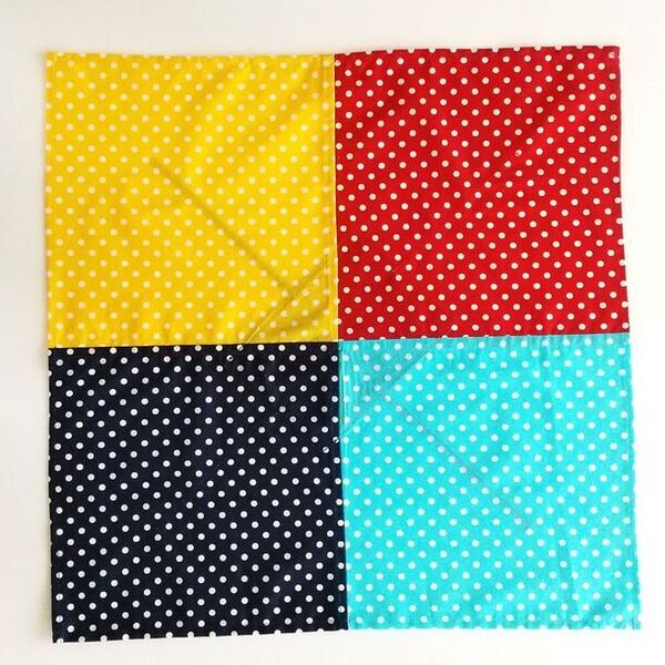 発達障害などの手先の細かい動きが苦手な児童向け、結びの基本を学ぶお弁当包み「包んで楽勝！」3月末頃限定発売