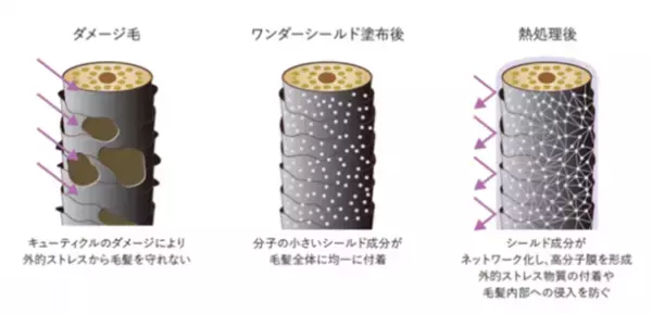 サブリミック、世界に清潔な水を届ける「シェアウォータープロジェクト」第三弾開催　気鋭の書家・ハシグチリンタロウとコラボした限定パッケージも3月22日より発売