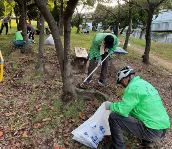 桜の老朽化が深刻　幹の空洞化と腐敗により倒木の危険性が広がる　市民の力で桜を守りたい！桜に肥料を与えるイベントを泉大津市にて2月開催