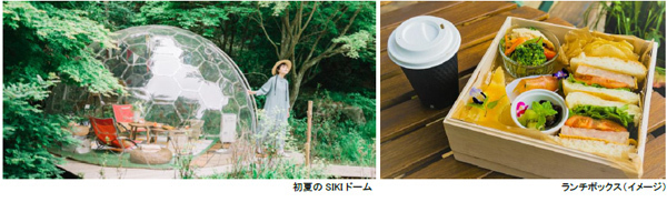ROKKO森の音ミュージアム春～初夏「SIKIドーム ピクニックプラン」お一人様でも利用可能に！2024年3月16日（土）～7月12日（金）