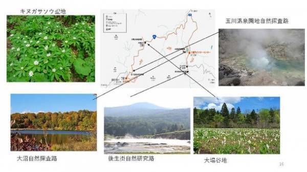 秋田産業サポータークラブと食と美と健康ワーキンググループの2023年度の取り組みと成果について