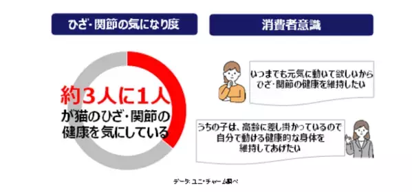 “食事の吐き戻しを軽減する”猫用健康機能食『AllWell』から「ひざ・関節の健康維持用」を新発売