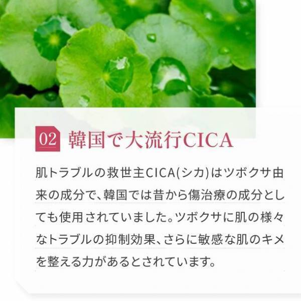 美容皮膚科医が監修！バクチオール×CICA配合のニードル美容液「Re:needle(リニードル)」が販売を開始