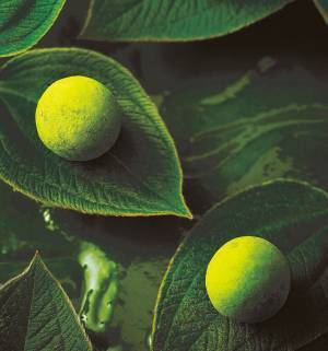 あべのハルカス近鉄本店2024年人気のチョコレートをご紹介！バレンタイン ショコラ コレクション2024