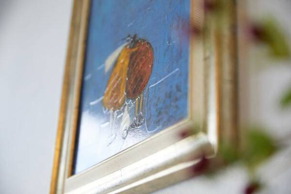 鈴鹿市のヘアーサロン「for Season hair」が14年目に突入　三重県の過疎化が進むエリアでも集客できる仕組みを構築