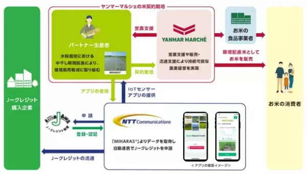 ヤンマーマルシェと NTT Com、「水稲栽培における中干し期間延長の方法論」により J―クレジットを創出、NTT Com が販売を開始