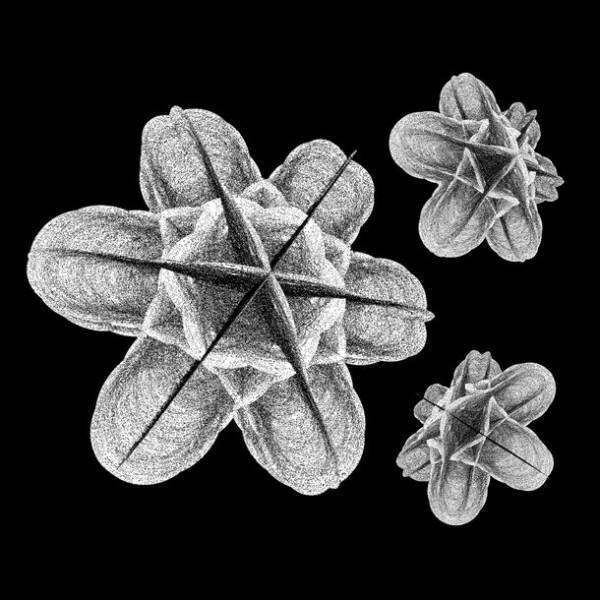 クリエイティブラボ Out of Blue がポーランド ART&DESIGN 2023/2024 Festival へ選出