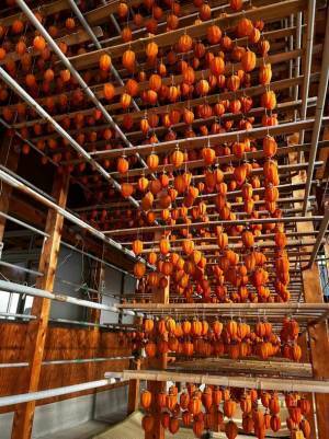 福島伊達の発祥　究極のビーガン食材　都内レストランで「あんぽ柿」メニュー2月1日(木)より登場！