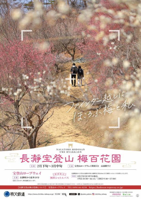 ロウバイの名所「長瀞宝登山臘梅園(ろうばいえん)」が2月に見頃　「イチローズモルト長瀞茶室BAR」も期間限定で営業