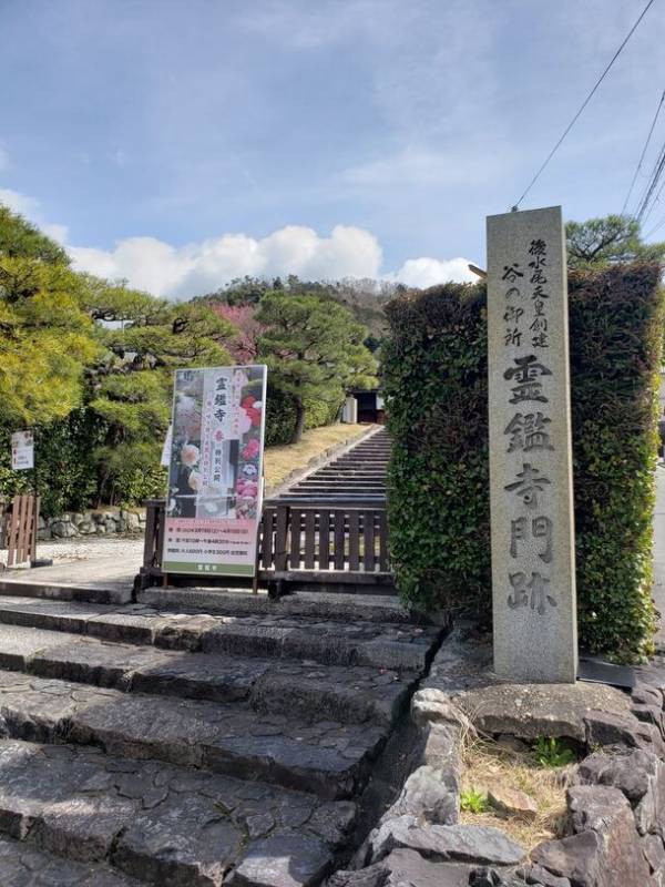 通常非公開の尼門跡寺院　京都・霊鑑寺　～椿が咲き誇る庭園や書院を特別公開～