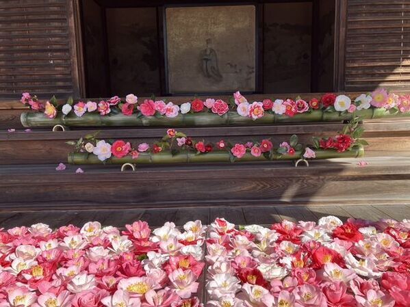 通常非公開の尼門跡寺院　京都・霊鑑寺　～椿が咲き誇る庭園や書院を特別公開～