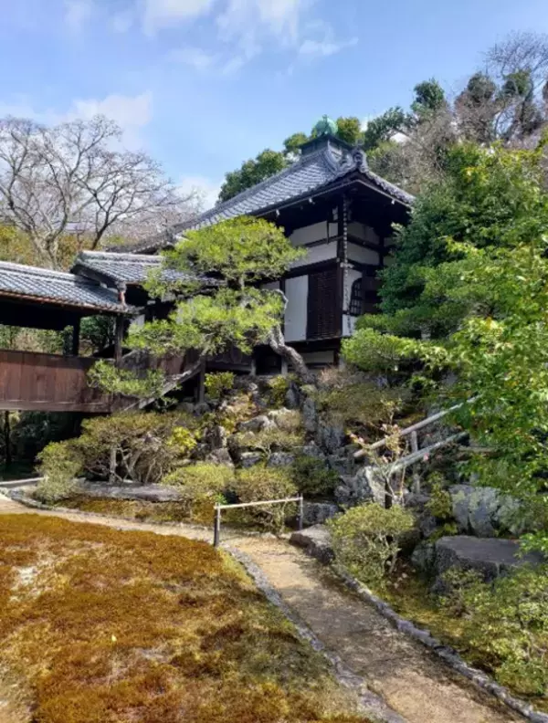 通常非公開の尼門跡寺院　京都・霊鑑寺　～椿が咲き誇る庭園や書院を特別公開～