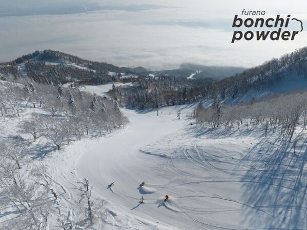 北海道富良野市、パウダースノーを数値化する新事業展開中「ふわサラ度予測」アップデート完了～より精度の高い「ふわサラ度」を予測することが可能に～