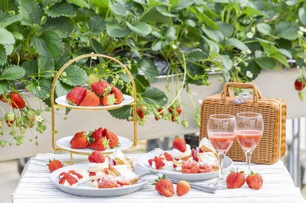 ＜いちご専門店の道の駅 いちごBonBonBERRY＞今が旬の静岡いちごを味わい尽くす3日間！いちごいっぱいの祭典を2月10日(土)・11日(日)・12日(月)に開催！