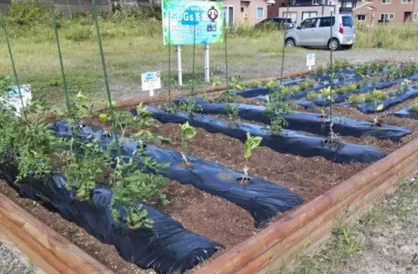 株式会社TOWING × 岩手県大槌町　復興に向けたSDGs花壇を大槌駅前への移転・継続活用を決定！