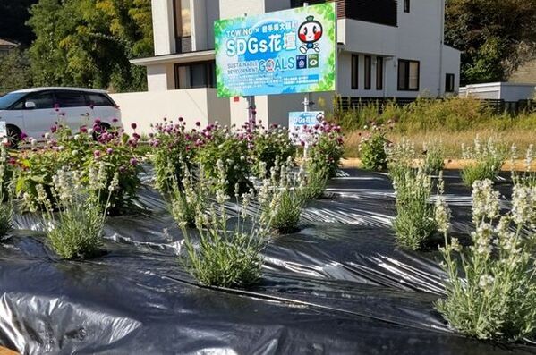 株式会社TOWING × 岩手県大槌町　復興に向けたSDGs花壇を大槌駅前への移転・継続活用を決定！