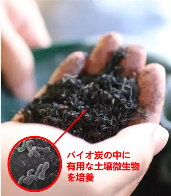 株式会社TOWING × 岩手県大槌町　復興に向けたSDGs花壇を大槌駅前への移転・継続活用を決定！