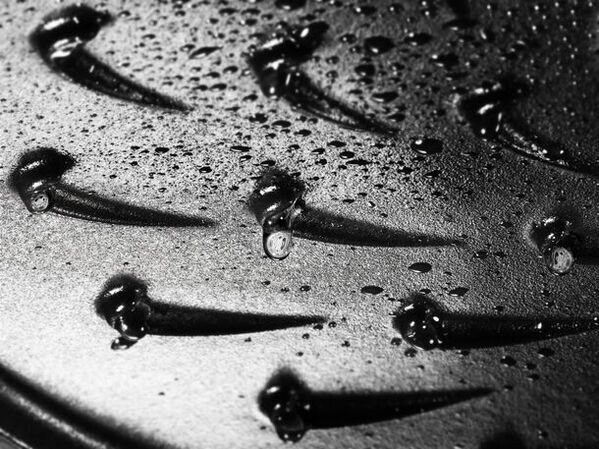 仏鋳物ほうろう鍋ストウブ 創業50周年記念　ミナ ペルホネン(mina perhonen)とのコラボレーション最新作“cocotte ocean”をリリース