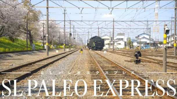 秩父鉄道のSL、2024年運行スケジュール公開　3月20日からSLパレオエクスプレス運行開始