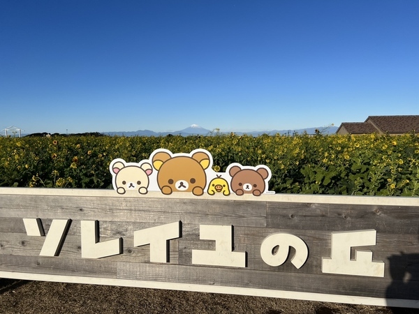 来場者数10万人突破！好評につき4月7日（日）まで延長決定。横須賀「ソレイユの丘」のコラボイベント『ナノハナとリラックマ』 2月24日（土）には、再びリラックマがやってくる！