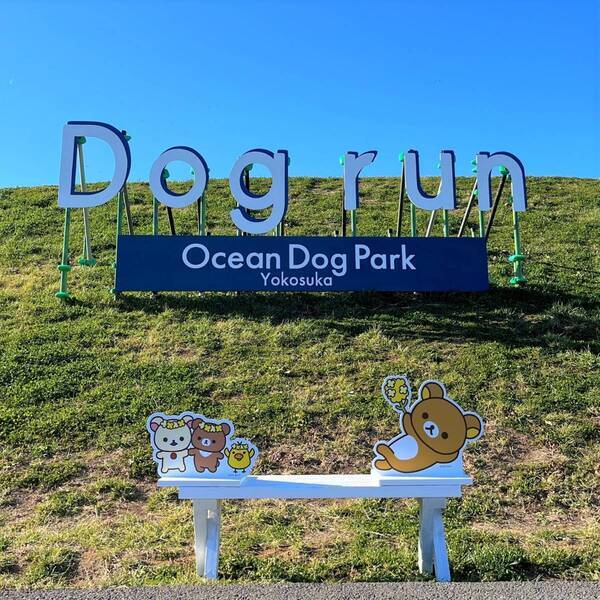 来場者数10万人突破！好評につき4月7日（日）まで延長決定。横須賀「ソレイユの丘」のコラボイベント『ナノハナとリラックマ』 2月24日（土）には、再びリラックマがやってくる！