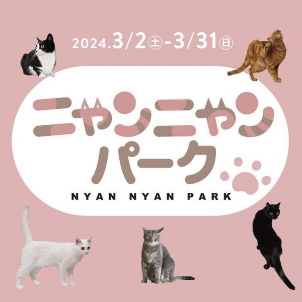 かわいい猫ちゃんたちと触れ合えるイベント「ニャンニャンパーク」in　MARK IS　みなとみらい5F　特設会場　開催決定！