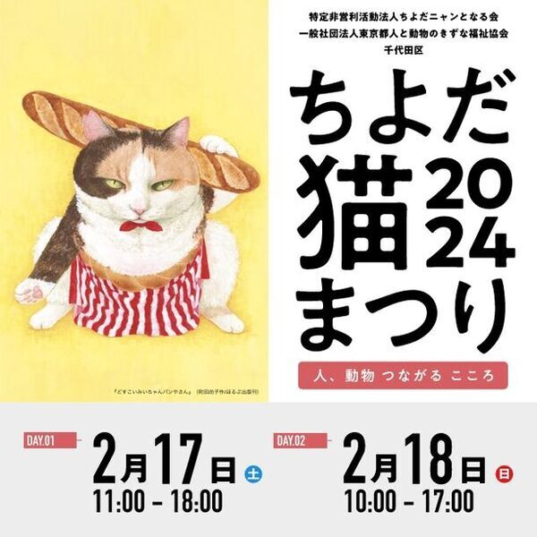 猫壱人気商品や限定商品を特別価格にて販売　能登半島地震 被災猫救援の向け売上全額を寄付いたします　2024年2月17日、18日「ちよだ猫まつり」出展