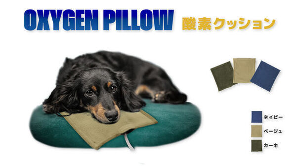 プラスチック成型のニッセイエコ、ファイテン株式会社とのペット用コラボ製品を販売！「インターペット2024」に出展