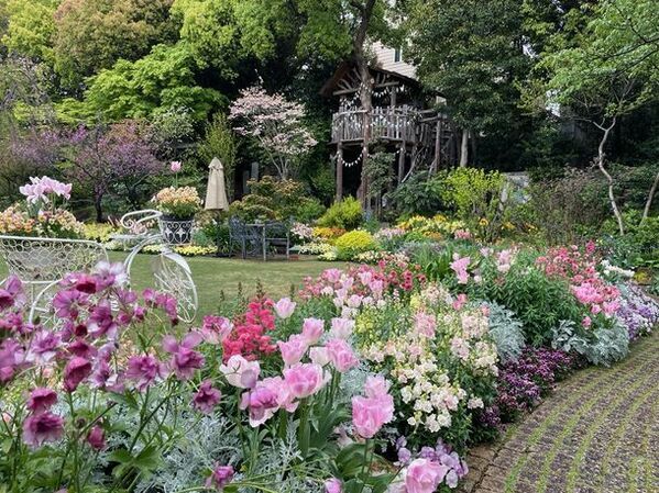 愛知県豊田市の春を巡る！春と待ち合わせ。お花スタンプラリー 2024年2月17日(土)より開催！