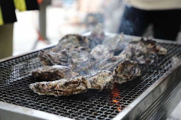 観光ツアー「せとうち江田島島旅クルーズ」を運航