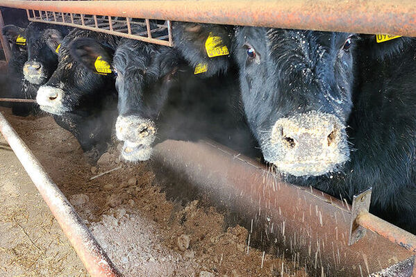 環境保全などに取り組む個人・団体、SDGsなど環境・社会・経済に統合的に取り組む事業者を表彰する令和5年度の国埼玉環境大賞をヤマキ醸造が受賞