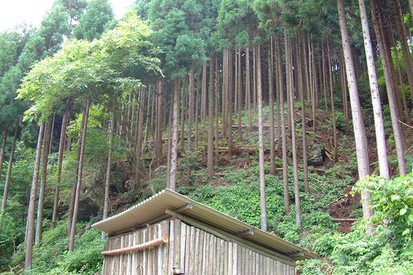 環境保全などに取り組む個人・団体、SDGsなど環境・社会・経済に統合的に取り組む事業者を表彰する令和5年度の国埼玉環境大賞をヤマキ醸造が受賞