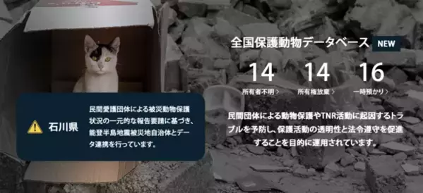 被災地の混乱を解消へ！所有者不明動物の取り扱いに関し「ペットのおうち」や「ネコリパブリック」などを含む全国70以上の動物愛護団体が連名でガイドラインを発表。